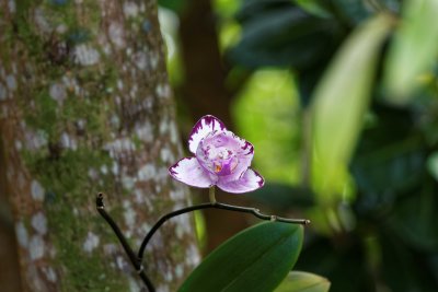IMG_0683_DxO.jpg