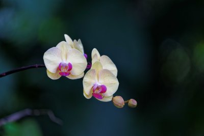 IMG_0682_DxO - Copy.jpg