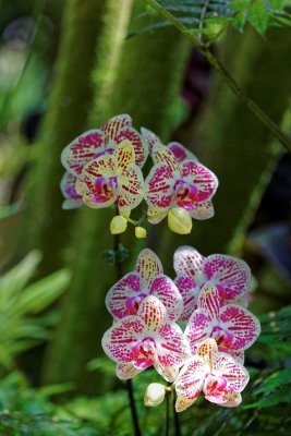 IMG_0705_DxO_edited-2.jpg