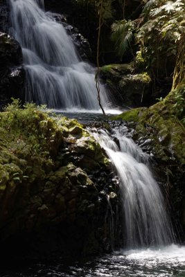A small waterfall within the garden