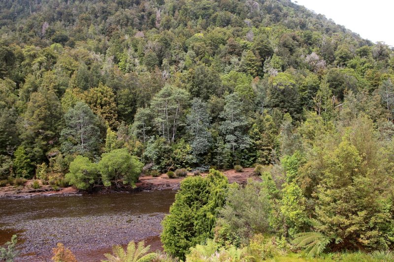 Tasmania's Wilderness Steam Railway