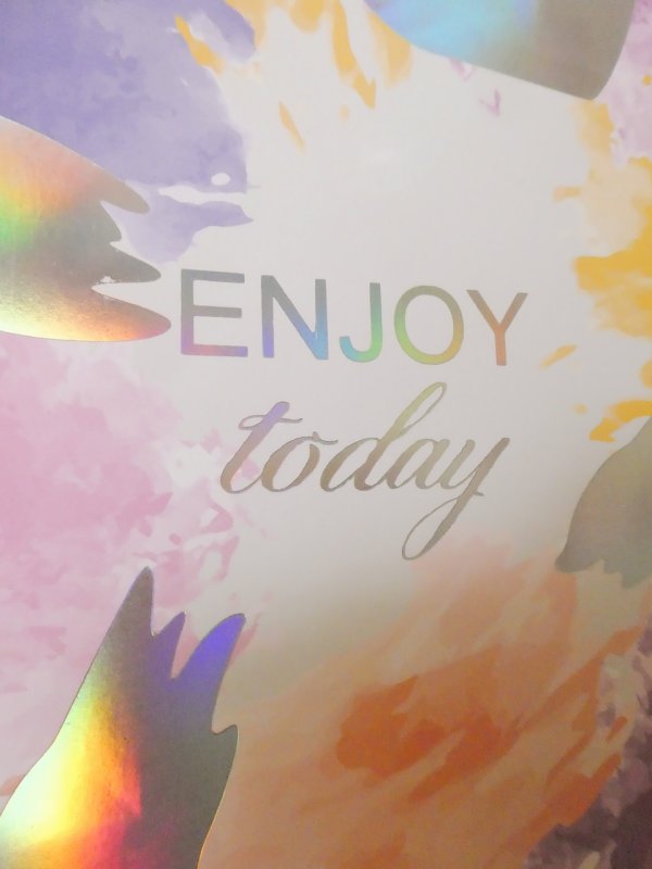 Enjoy Today