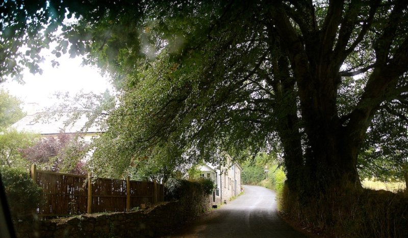 A Country Lane