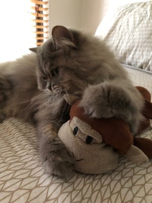 Lucy and Monkey