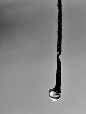 droplet