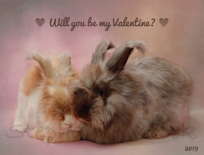 Happy Valentine's Day!