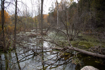 Parc_BV32.jpg