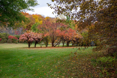 Parc_BV54.jpg