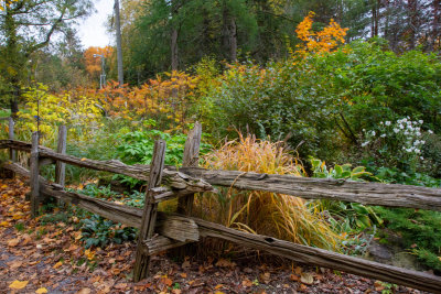 Parc_BV113.jpg