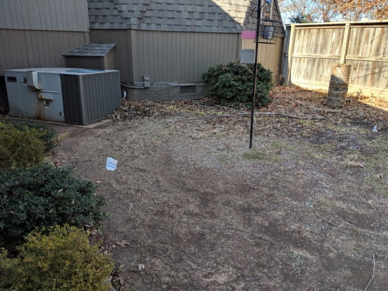 IMG_20181210_115648.jpg