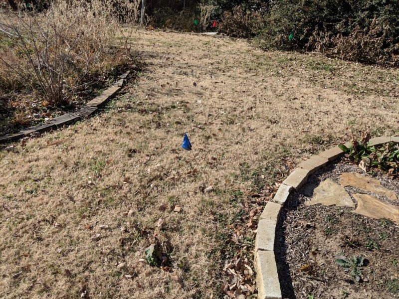 IMG_20181210_120148.jpg