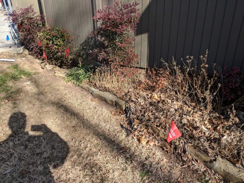 IMG_20181210_120259.jpg