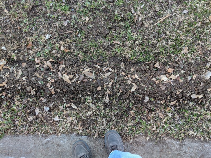 IMG_20181210_160209.jpg