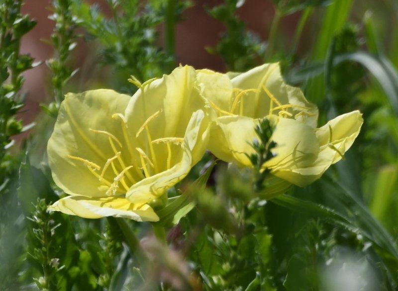 DSC_7753b.jpg