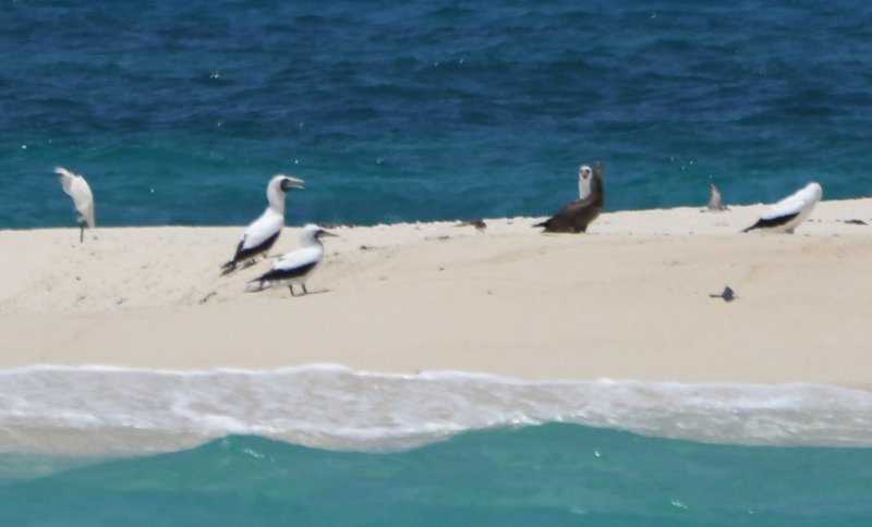 DSC_4723b.jpg