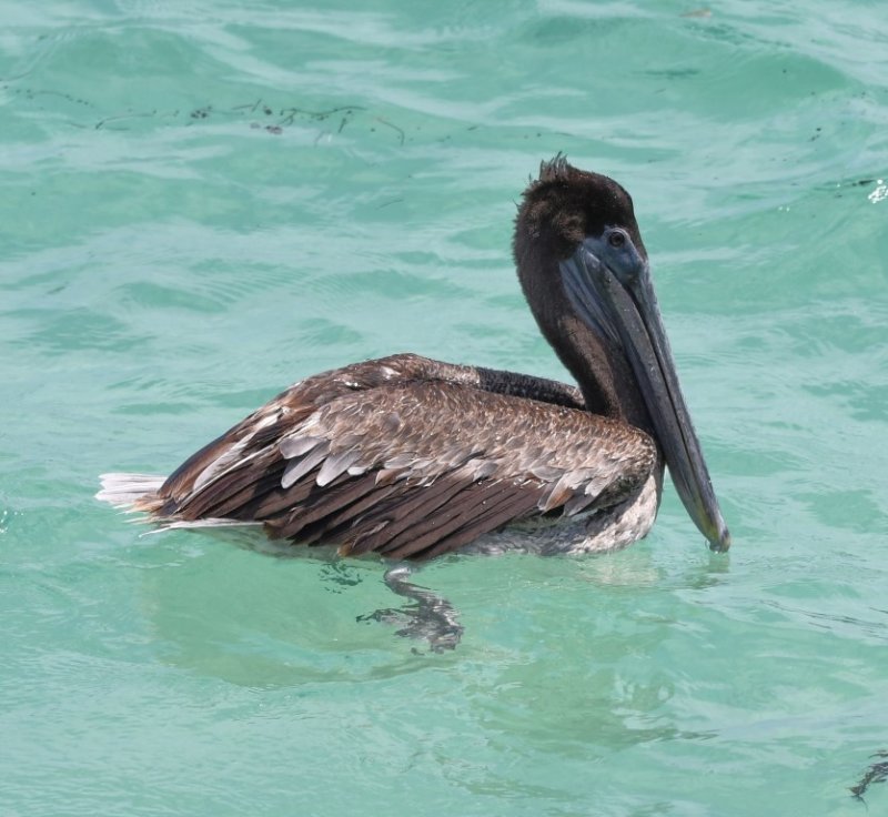 DSC_4857b.jpg