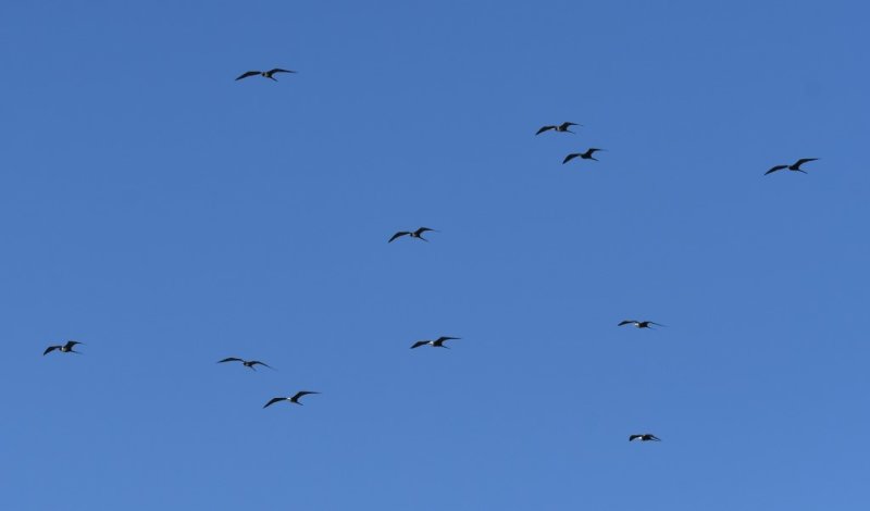 DSC_5343b.jpg
