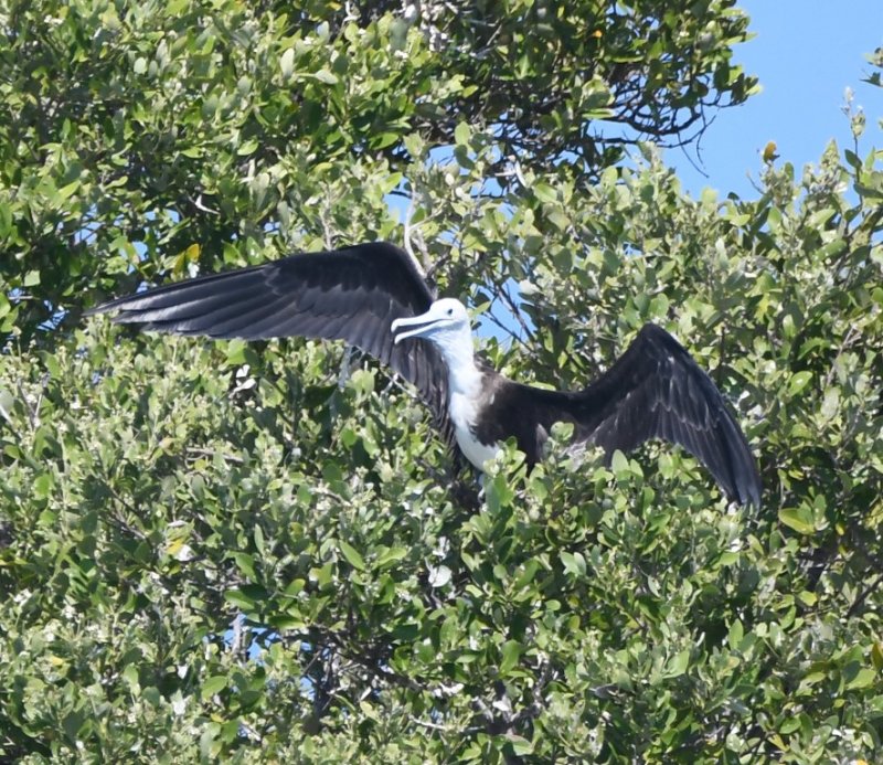 DSC_5472b.jpg