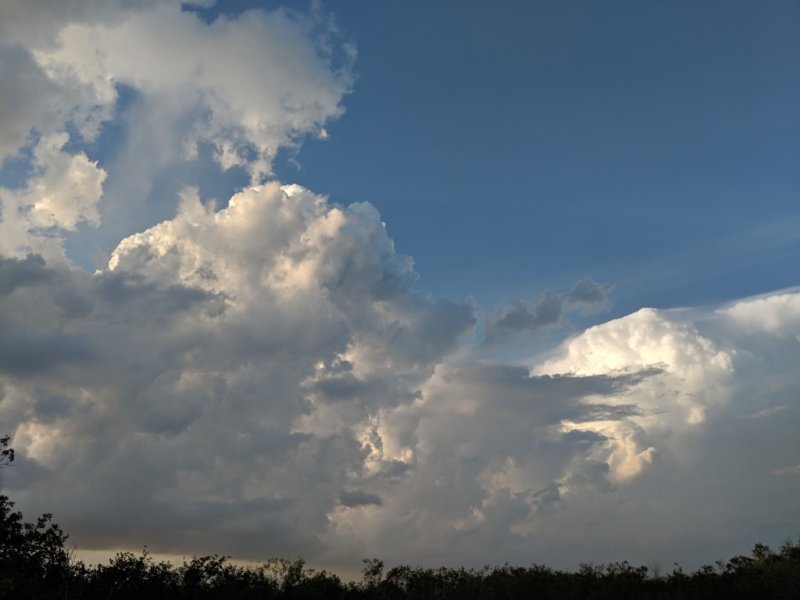 IMG_20190505_192830b.jpg