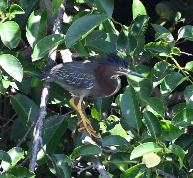 DSC_3266b.jpg