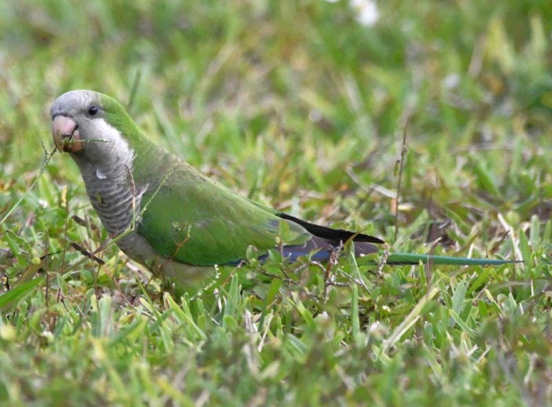 DSC_3582b.jpg