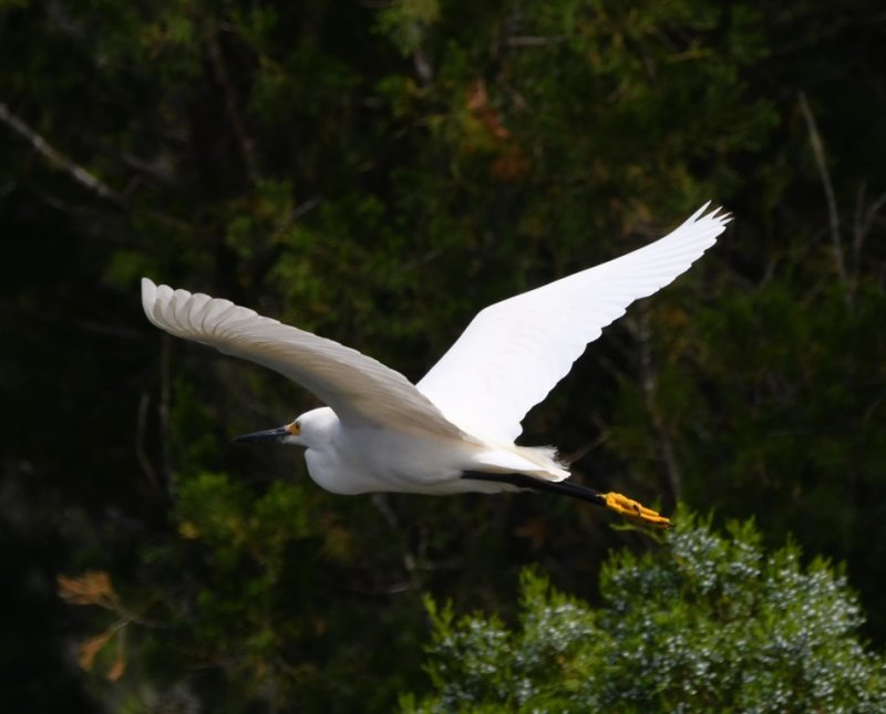 DSC_1235b.jpg