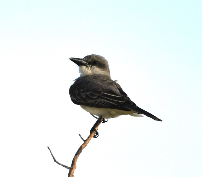 DSC_1391b.jpg