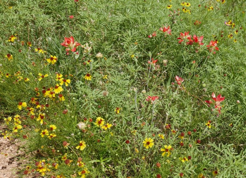 P1050199b.jpg