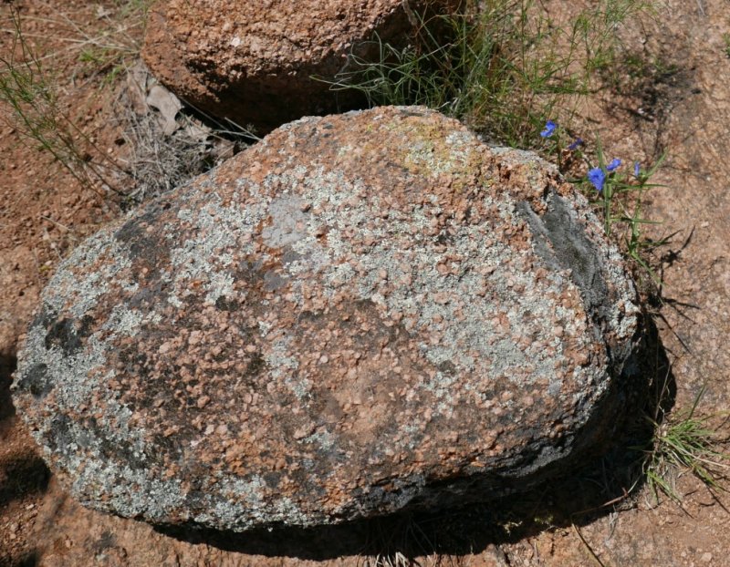 P1050207b.jpg