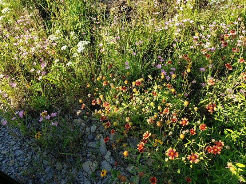 20190701_184059b.jpg