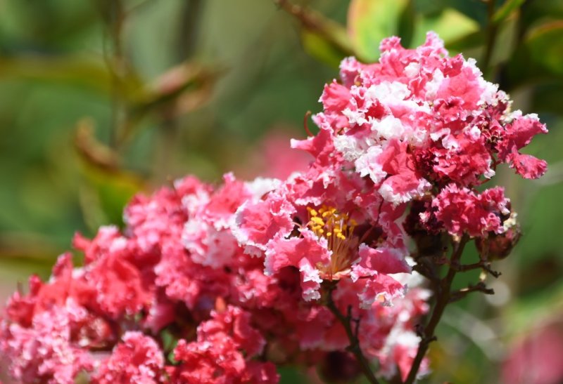DSC_5792b.jpg