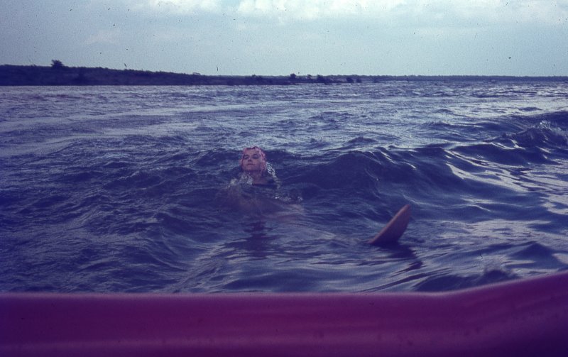 300_Scan006621a.jpg