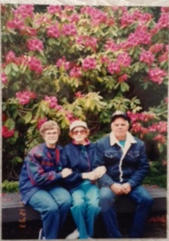 400_Pic02a.png