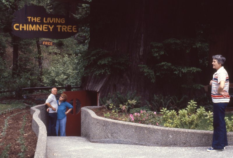 400_Scan006569a.jpg