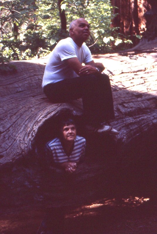 400_Scan0071801.jpg