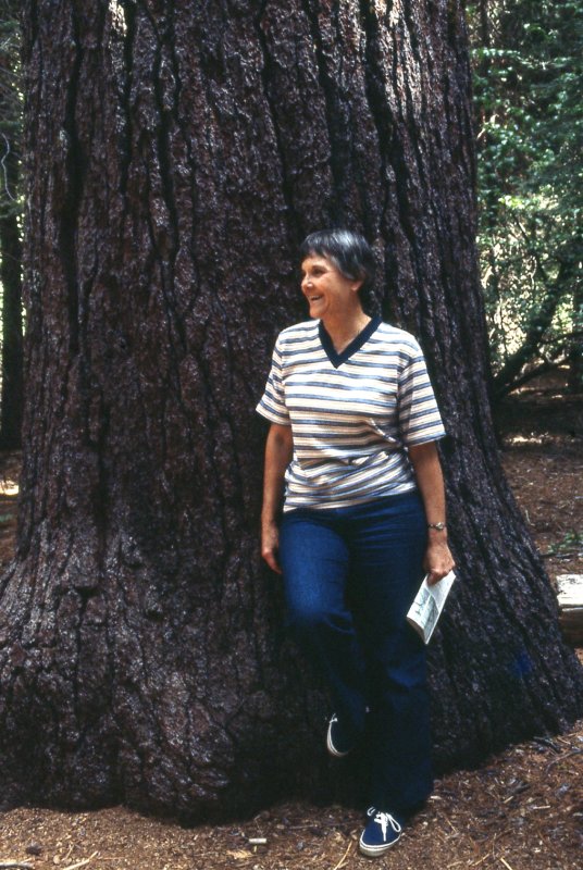 400_Scan0071861.jpg