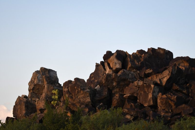 DSC_2570b.jpg