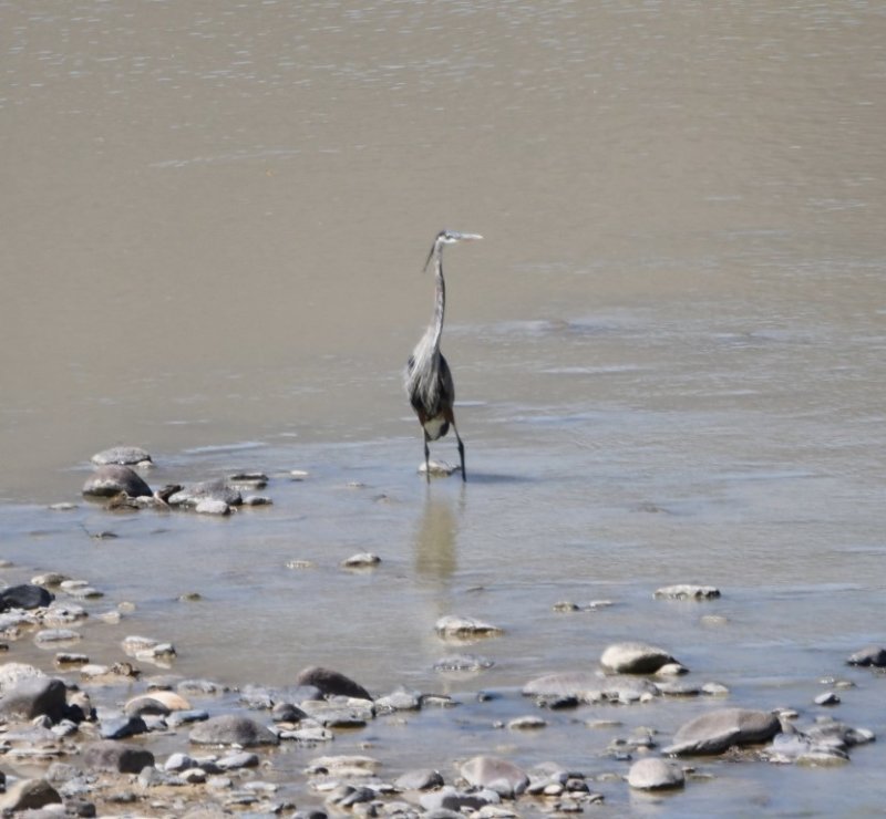 DSC_2779b.jpg