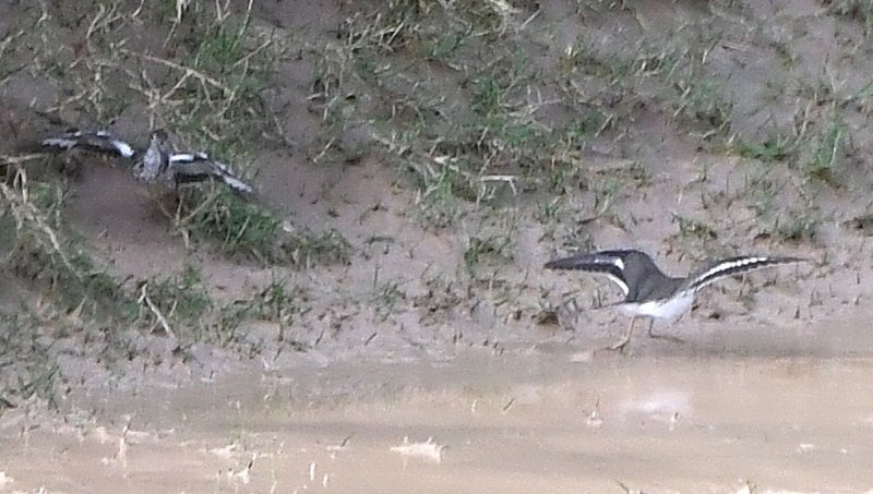 DSC_3199b.jpg