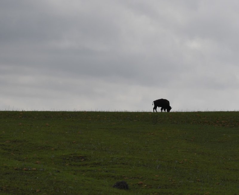 DSC_6233b.jpg