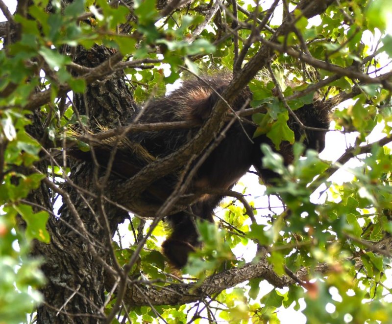 DSC_6363b.jpg
