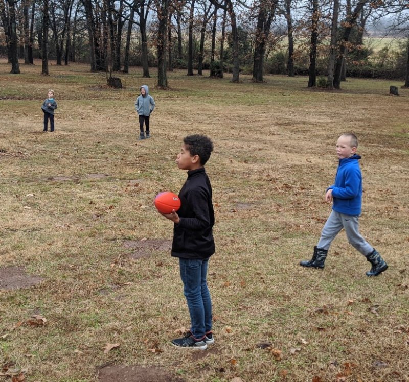 IMG_20191128_135102b.jpg
