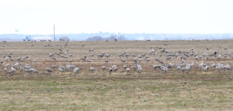 DSC_2649b.jpg