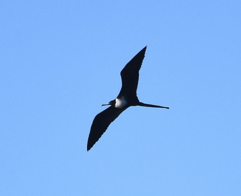 DSC_4486b.jpg