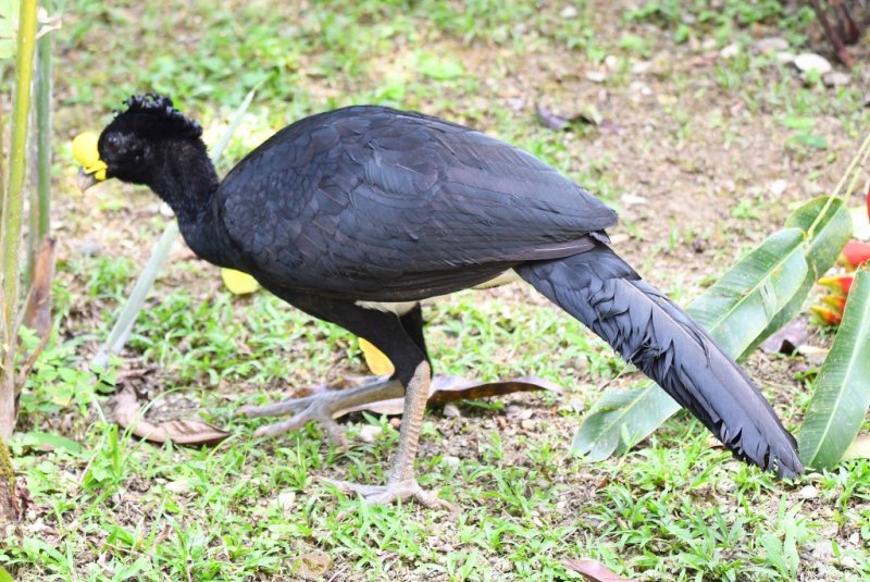 DSC_4762b.jpg