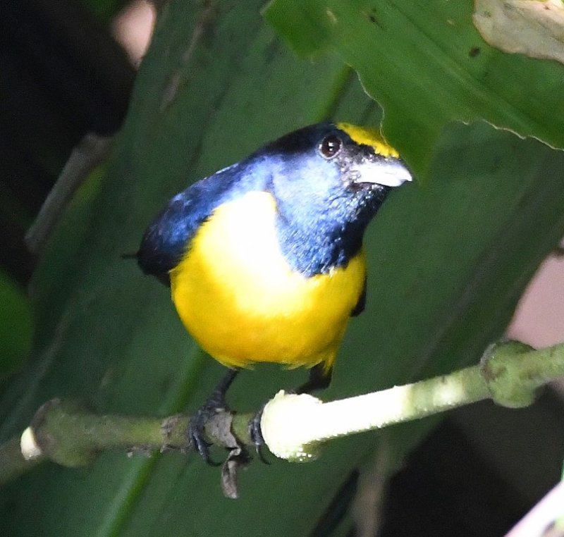 DSC_4855b.jpg
