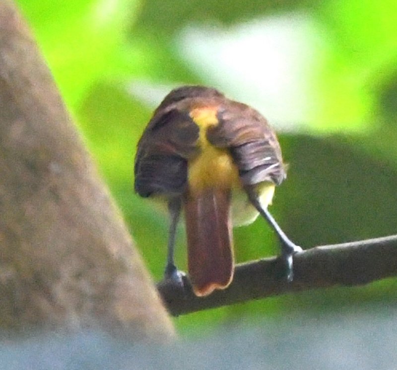 DSC_5365b.jpg
