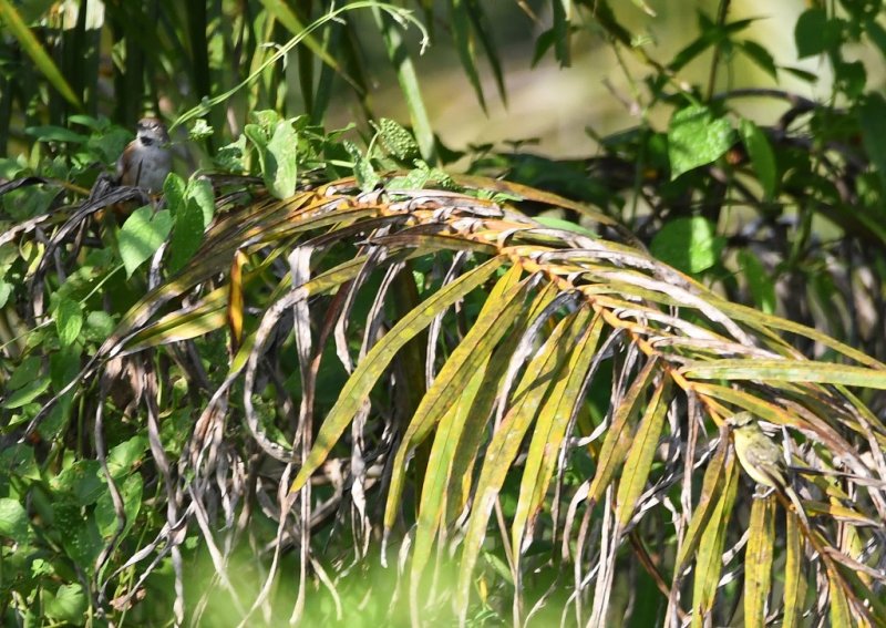 DSC_5872b.jpg
