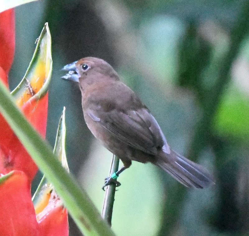 DSC_6079b.jpg