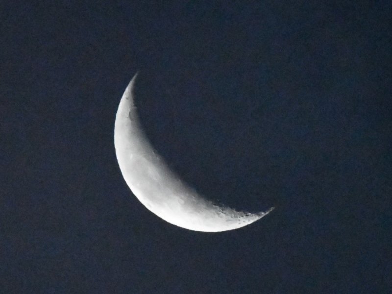 DSC_6632b.jpg